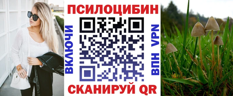 наркошоп Малоярославец Галлюциногенные грибы Psilocybine cubensis